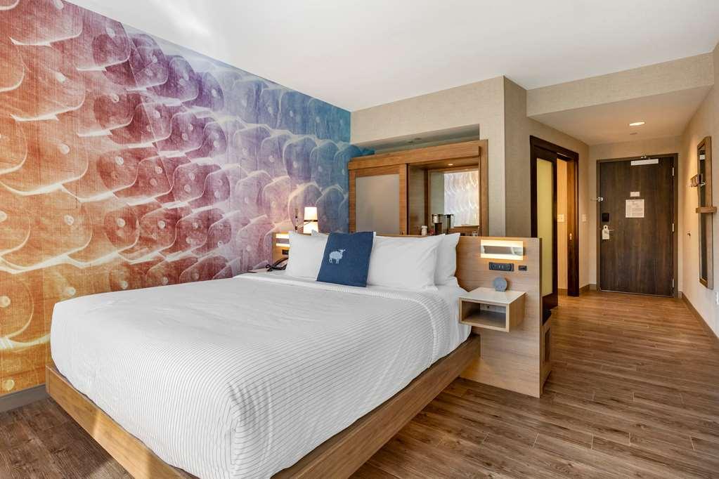 Cambria Hotel Manchester South Windsor ห้อง รูปภาพ